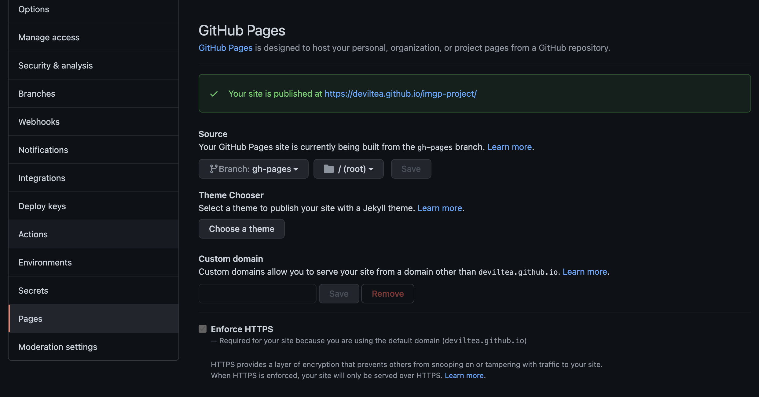 新增完後到 你的 GitHub Repo 的 Settings 中找到 Pages 選項進入該設定頁面示意圖